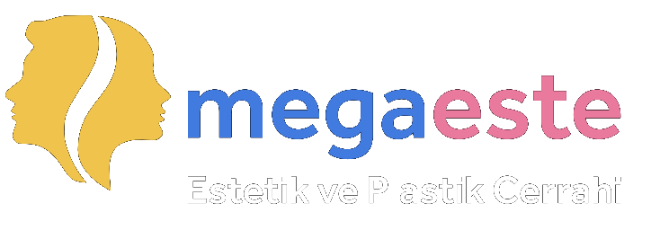 Megaeste Logo