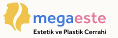 Megaeste Logo